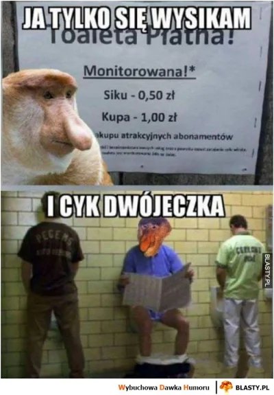 PeaK - #heheszki #humorobrazkowy #nosaczsundajski #polska #polak