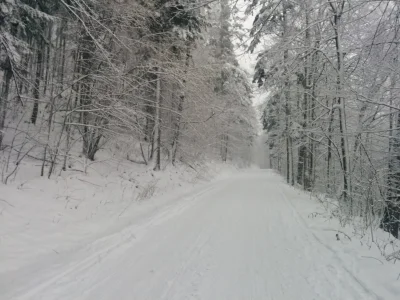 Jormungand - #dziendobry mireczki i mirabele, spokojnego piątku wam życzę, oraz miłeg...