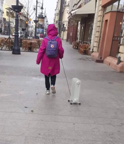 5MinutWolnosci - Ktoś mi powie co to za dziwna rasa ?
#smiesznypiesek #smiesznekotki ...