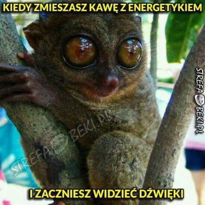 Bebecia13 - Kto chce kawę lub energetyk? Albo to i to? ( ͡° ͜ʖ ͡°) #humorobrazkowy #h...