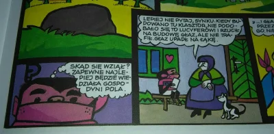 walkorbowy - Jakby ktos pytal skad sie wzial ten glaz.