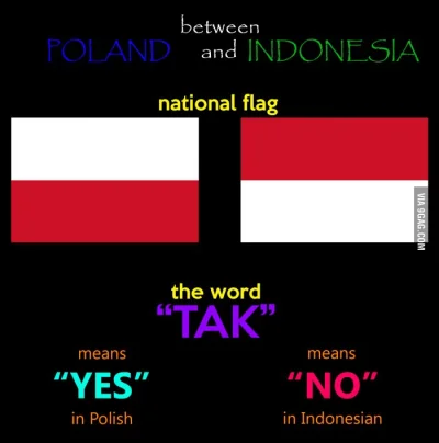 Lookazz - > Indonesia & Poland - Yin and Yang

#polandball #heheszki #humorobrazkowy