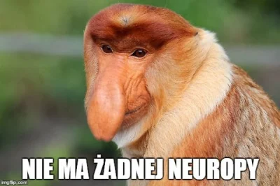 JakubWedrowycz - @MorzeNiczyje: