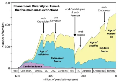 hellsmash86 - >Take the dinosaurs for example, the biggest mass extincion the world h...