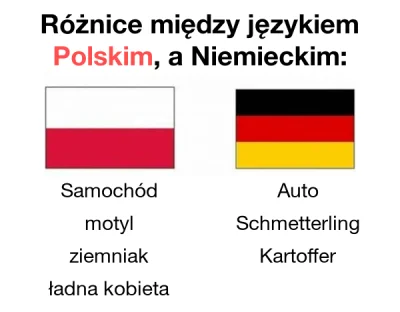 xionacz - #suchar #byloaledobre #janusze #polak #niemcy #humorobrazkowy