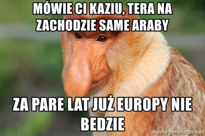 inspektor_erektor - #polak #europa #imigranci #nosaczsundajski #nosacz #humorobrazkow...