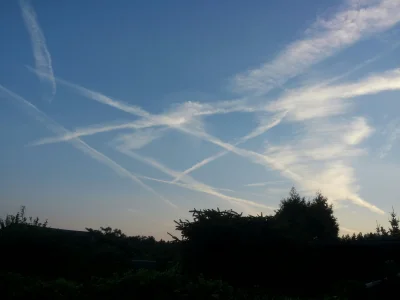 kissandfly - #chemtrails #foliarze #nwo #antyszczepionkowcy #wegetarianizm #weganizm ...