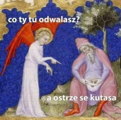 basi46 - #heheszki #humorobrazkowy #memy