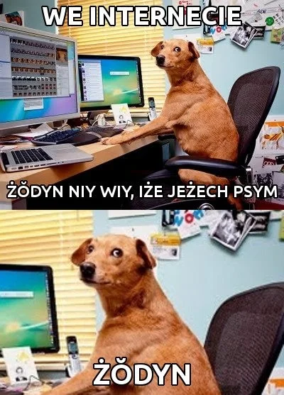 tajek - W razie jakby ktoś dzisiaj przegapił

#lolcontent ##!$%@?