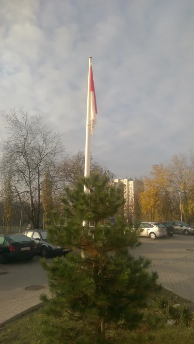 bonanza - Zarządca wywiesił flagę u mnie przed blokiem.
#patriotyzm #swietoniepodleg...