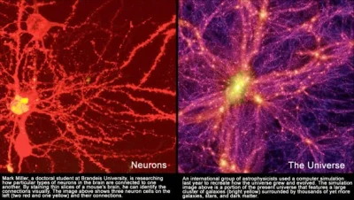 orkako - Po lewej komórka nerwowa, a po prawej struktura supergromady galaktyk.
W do...