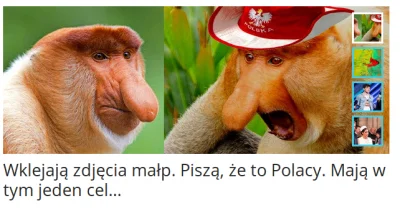 k....._ - #humorobrazkowy #heheszki #polak #nosacz
czo ta interia ( ͡° ͜ʖ ͡°)