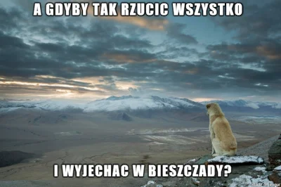 wilczur - > po dłuższym czasie postanawia wszystko rzucić i ruszyć w góry
Widzę że A...