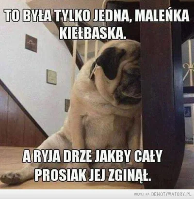 WuDwaKa - #heheszki #humorobrazkowy #demotywatory