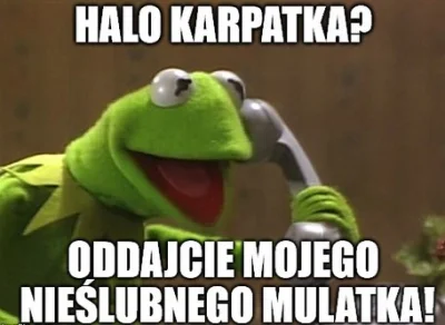 popistaks - #heheszki #humorobrazkowy #memy #willakarpatia #kermit