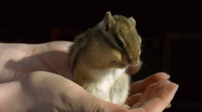 stepBYstep - Po tym gifie już cały tydzień nie trzeba słodzić herbaty. #gif #slodkosc