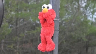 eloar - ! #heheszki ##!$%@? #elmo #gfycat