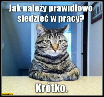 Pani_Asia - #praca #korpo #korposwiat #heheszki #humorobrazkowy #smiesznekotki #koty ...