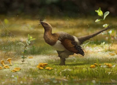 orkako - Mikroraptor Serikornis sungei (Jedwabny ptak) kładu Avialae (latające dinoza...