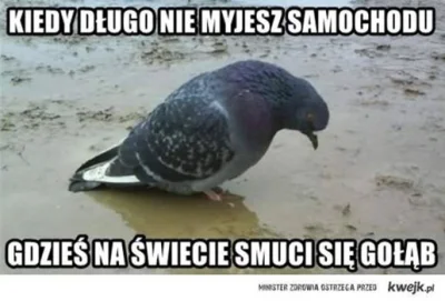 Zdejm_Kapelusz - #humorobrazkowy #zawszesmieszy #byloaledobre