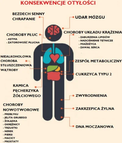 Protector - Tutaj można sprawdzić wybrane skutki otyłości.