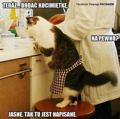 Olomir - #heheszki #humorobrazkowy #koty