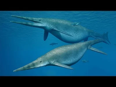 Trajforce - A Giant 'Sea Dragon'

#paleontologia #gadymorskie #gruparatowaniapoziom...