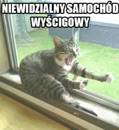 LadyMarcepan - Dzień dobry (ʘ‿ʘ)
#heheszki #humorobrazkowy #smiesznypiesek #koty