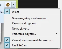 Reallifecam-Skript tampermonkey