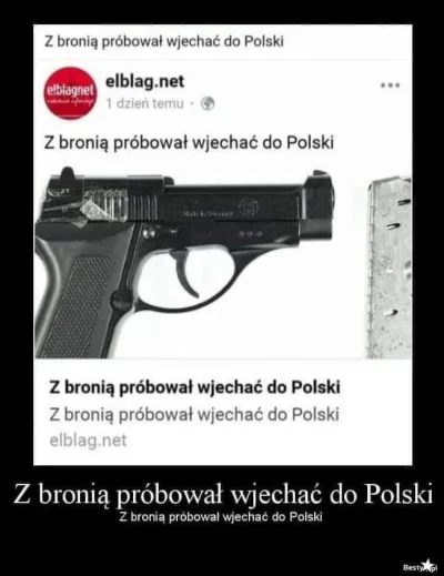 g.....i - Z bronią próbował wjechać do Polski

#heheszki #revolverocelot