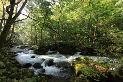 Lookazz - > Oirase River in the Japanese National Park, Towada-Hachimantai



#fotogr...