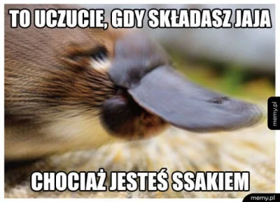 Ben_one - #memy #humorobrazkowy #heheszki #smieszne