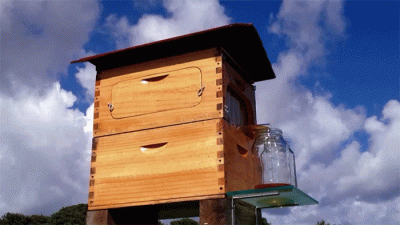 firmowyleser - @firmowyleser: Ul z systemem odprowadzania miodu, coby pszczół nie den...