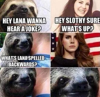 S.....i - #sloth #lanadelrey #smieszneobrazki 

( ͡°( ͡° ͜ʖ( ͡° ͜ʖ ͡°)ʖ ͡°) ͡°)