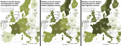 u.....8 - #mapporn #islam #islamizacja #europa
