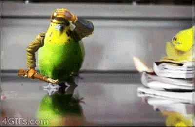 appylan - Ptaki mają dodatkowy zmysł który pozwala im ucieć chwilę przed eksplozją. T...