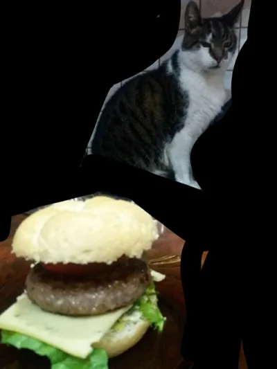 M.....k - Hamburger do oceny

#mirasekgrubasek #przegryw