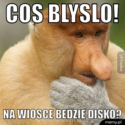 ZwyklyMirkus - #polak #nosacz #nosaczsundajski #humorobrazkowy