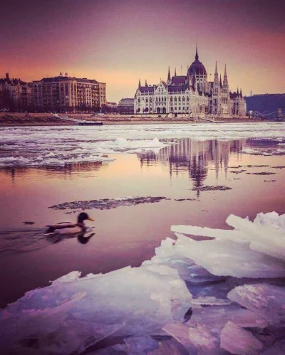 s.....w - Baśniowy, mroźny Budapeszt.
#fotografia #earthporn #budapeszt #wegry #europ...