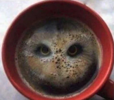 J.....I - Nietoperza widzę w tej kawie