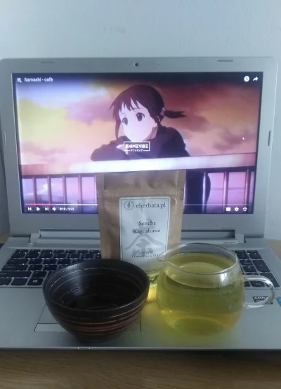 Senchaa - Ponieważ alkohol jest niezdrowy, codziennie piję sobie zieloną herbatę japo...