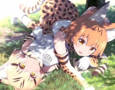 bakayarou - #randomanimeshit #kemonofriends #serval #sandcat #kemonomimi #animeart #p...