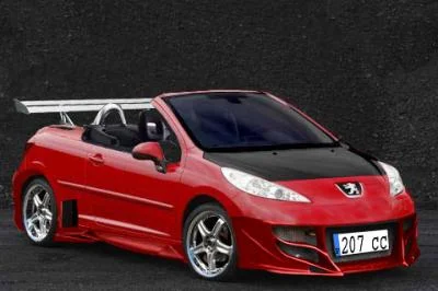 D.....g - Szybki, aż matce głowę urywa.
#kononowicz #peugeot207 #patostreamy