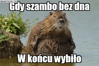 PawelW124 - #humor #heheszki #polak #polskiedomy #janusze