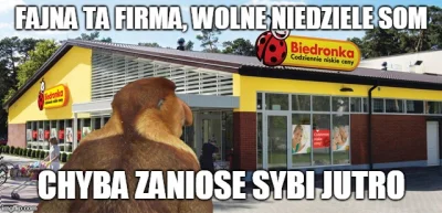 maxx92 - #heheszki #humorobrazkowy #praca #biedronka #pdk #polak #nosaczsundajski