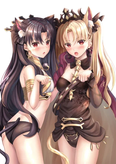 SirAves - #randomanimeshit #anime #kemonomimi #nekomimi #fate #fategrandorder #ishtar...