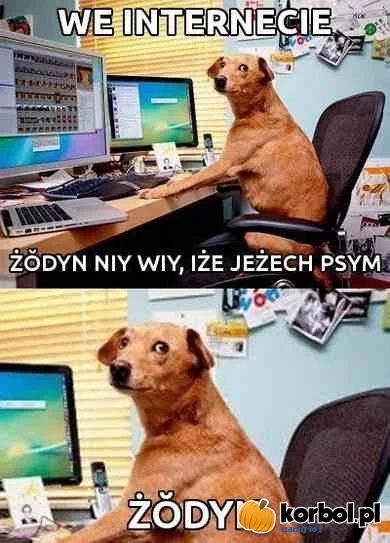 F.....t - Wszyscy o jakimś #blip, a patrzcie co ja znalazłem. #zodyn #nowosc