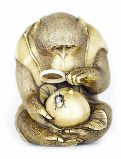 myrmekochoria - Netsuke: małpa patrząca na owada przez lupę, Japonia XIX wiek

Z te...