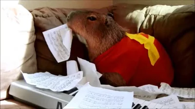 likk - Pszee Pani nie ćwiczyłem, bo mi #kapibara nuty zjadła

#kapibarysazajebiste ...