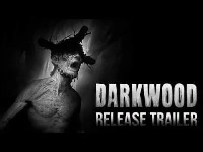 Laaq - #darkwood #gry #indiegames 

 Darkwood to opracowana przez warszawski zespół ...
